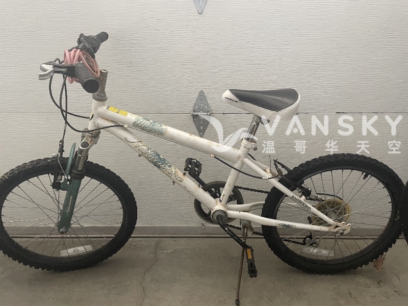 250305181707_Kid Bike.jpg